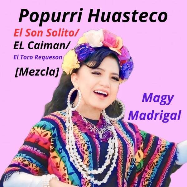 Cover art for Popurri Huasteco - El Son Solito / El Caiman / El Toro Requeson (Mezcla)